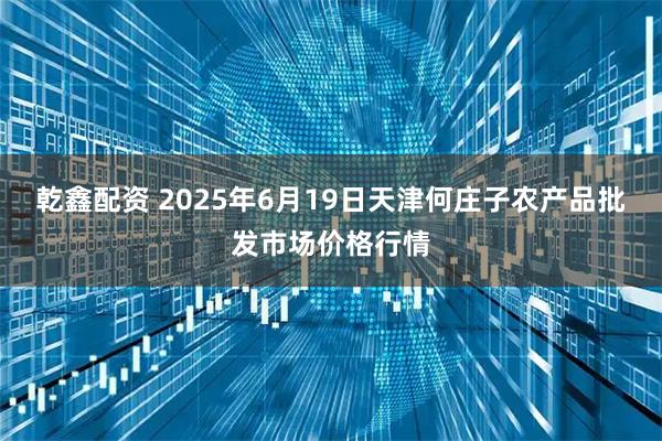 乾鑫配资 2025年6月19日天津何庄子农产品批发市场价格行情